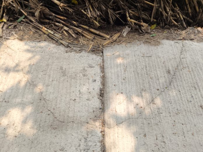 রাজশাহীর পবা উপজেলা থেকে তানোর উপজেলা পর্যন্ত প্রায় ৯ কিলোমিটার সড়ক ১৪ কোটি টাকা ব্যয়ে পুনর্বাসনের কাজ শেষ হওয়ার আগেই বিভিন্ন স্থানে ফাটল দেখা দিয়েছে বলে অভিযোগ উঠেছে। কোথাও কোথাও সড়ক দেবে যাওয়ারও অভিযোগ করেছেন স্থানীয়রা। এ নিয়ে ক্ষোভ ও অসন্তোষ সৃষ্টি হয়েছে।